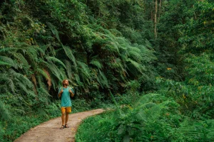 Mengatasi Rasa Kesepian saat Traveling Solo, 5 Cara Efektif Menemukan Teman Baru