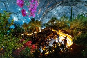Eden Project di Cornwall, Transformasi Tambang Liat Menjadi Surga Botani Dunia